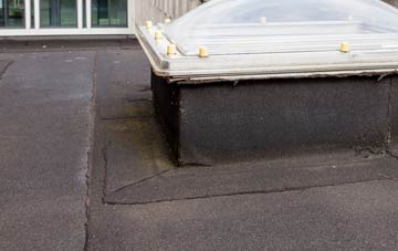 disadvantages of Thunders Hill flat roofs