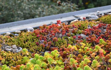 the cost of Thunders Hill green roof installation