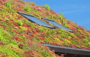 Thunders Hill living roof systems